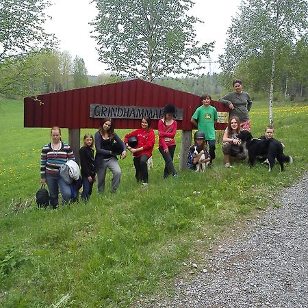 Grindhammaren B&B Ramsberg Екстериор снимка