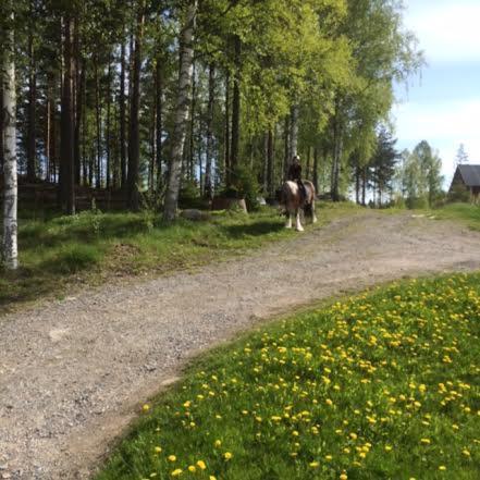 Grindhammaren B&B Ramsberg Екстериор снимка